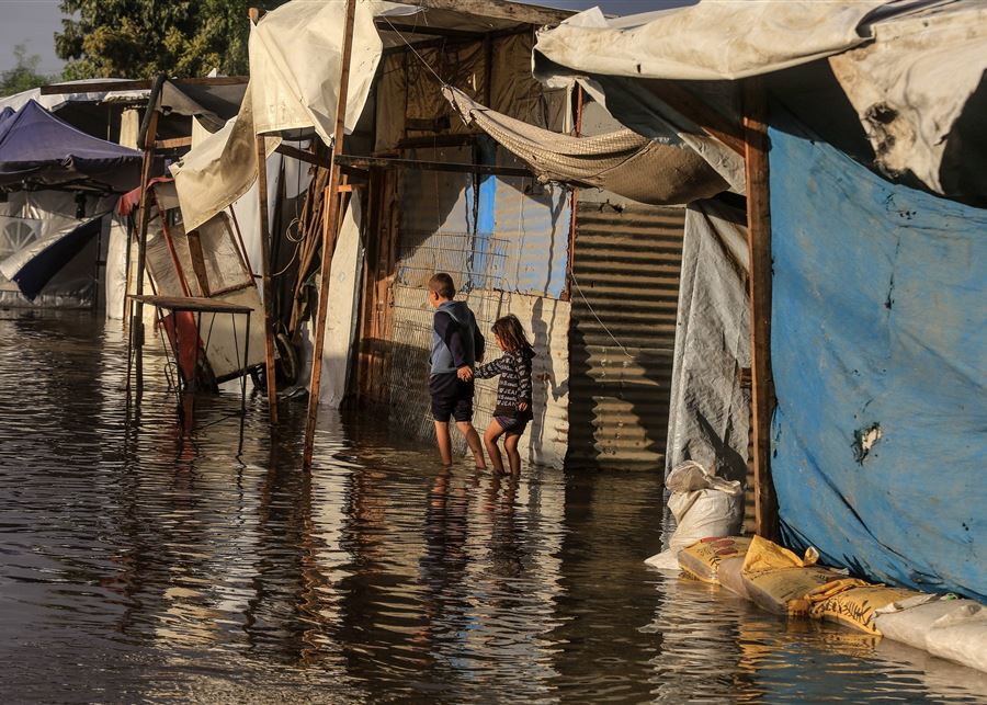 حرب الشتاء في غزة، فيتو