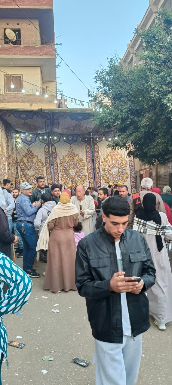 انتخابات الاعادة بالقليوبية، فيتو