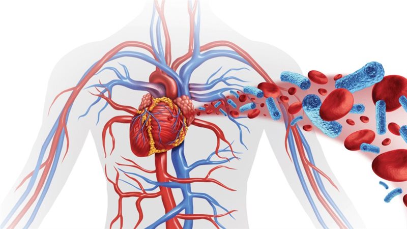 تنشيط الدورة الدموية