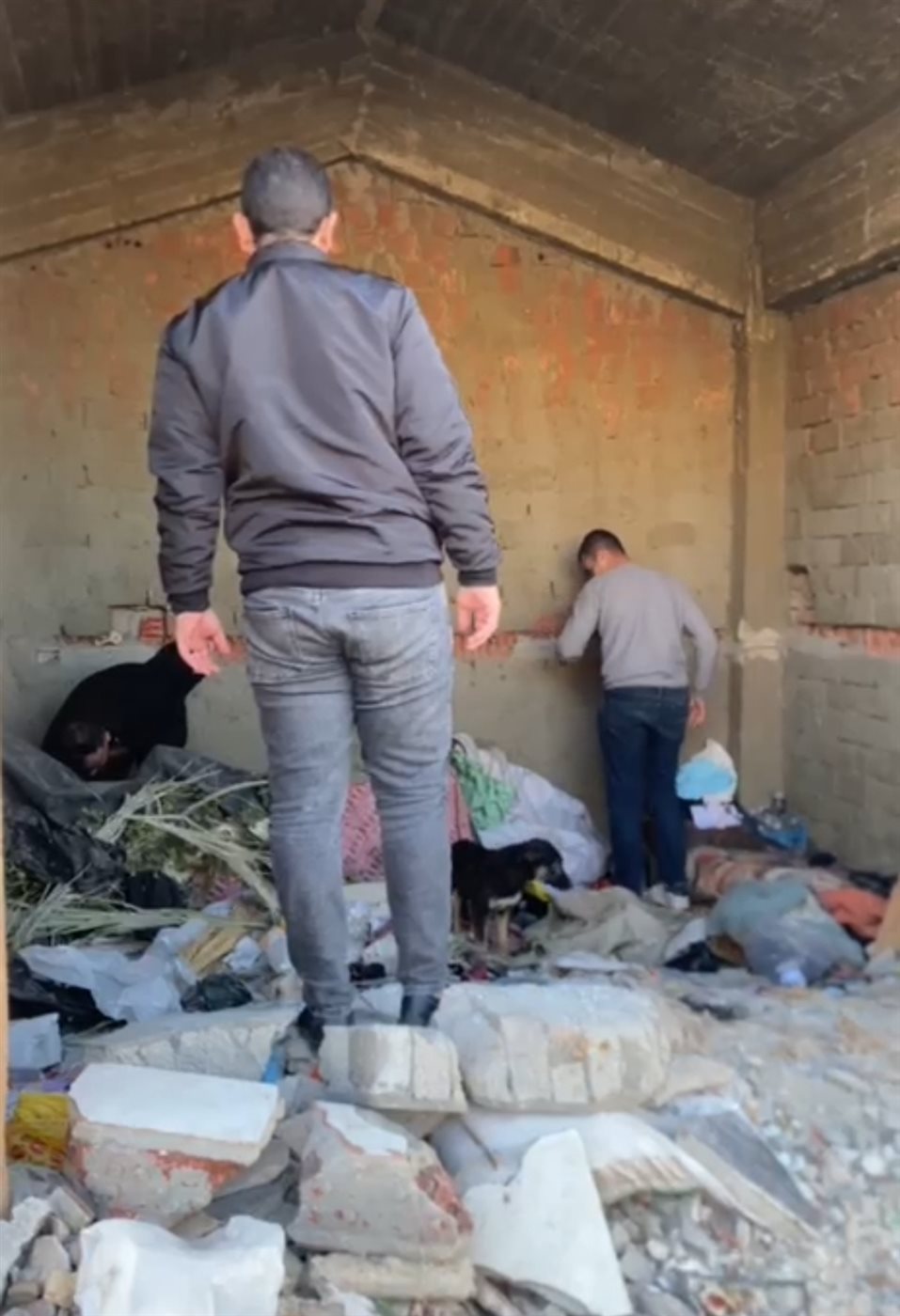 جانب من الحملة، فيتو