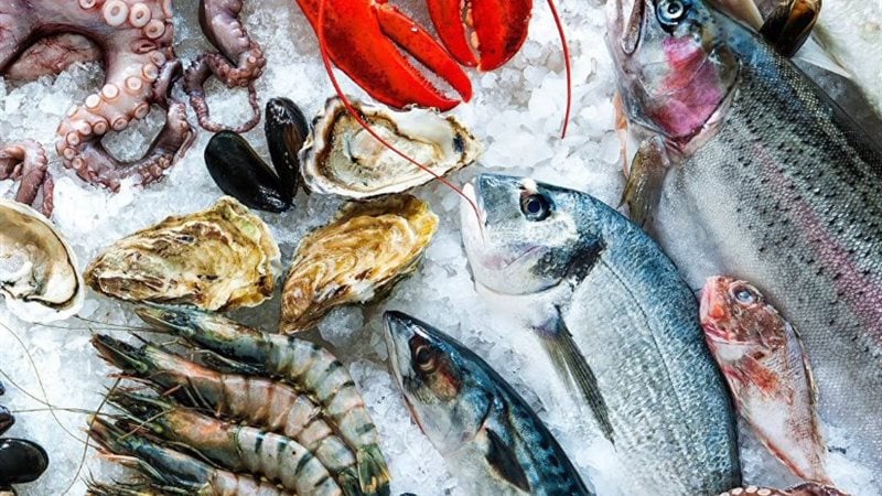 سعر السمك اليوم، فيتو