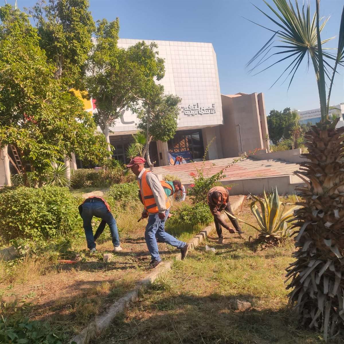 جانب من الحملة،فيتو