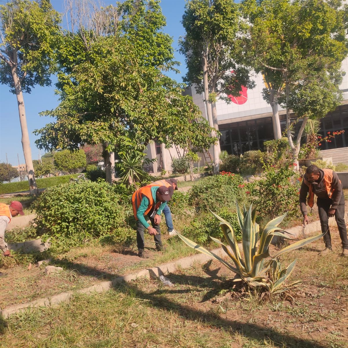 جانب من الحملة،فيتو