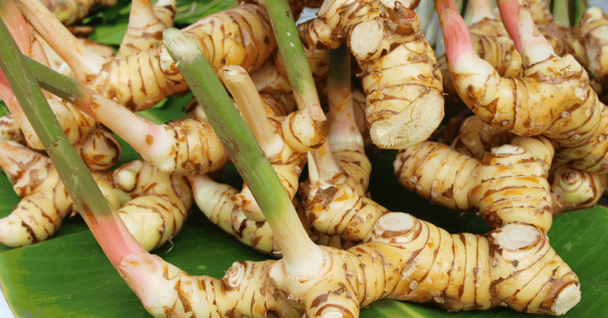 فوائد الخولنجان&nbsp;