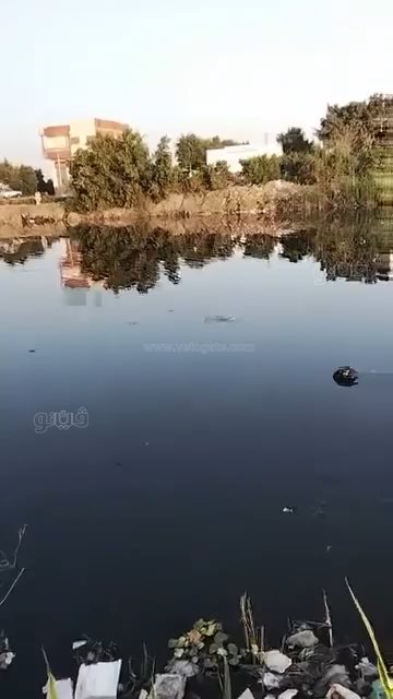 على خطى “تمساح الزوامل”… لقطات مصورة تضع عزبة واصف في دائرة الخطر،فيتو