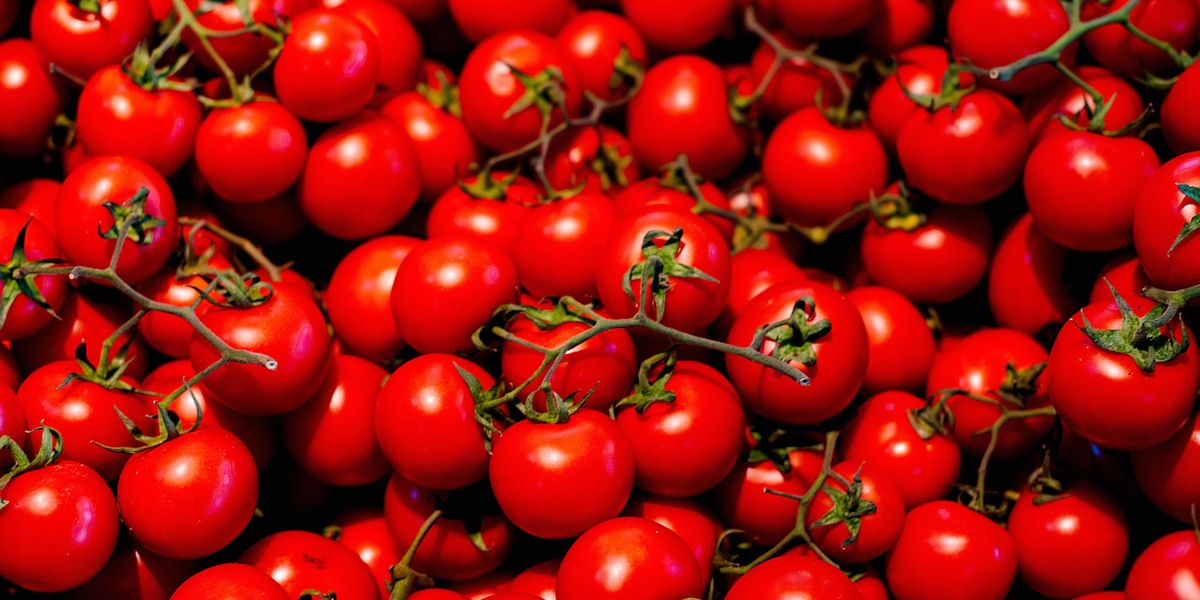 سعر الخضار اليوم، فيتو