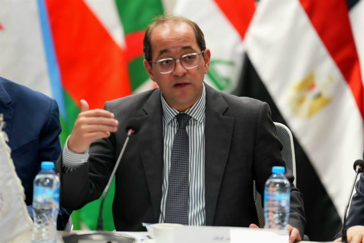 أحمد كجوك وزير المالية