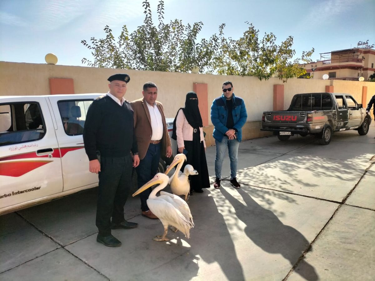 جانب من الحملة، فيتو