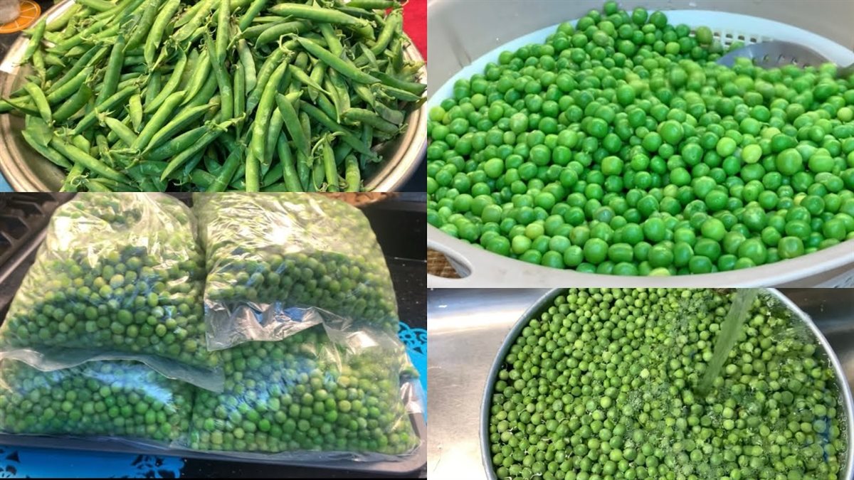 طريقة تفريز البسلة&nbsp;