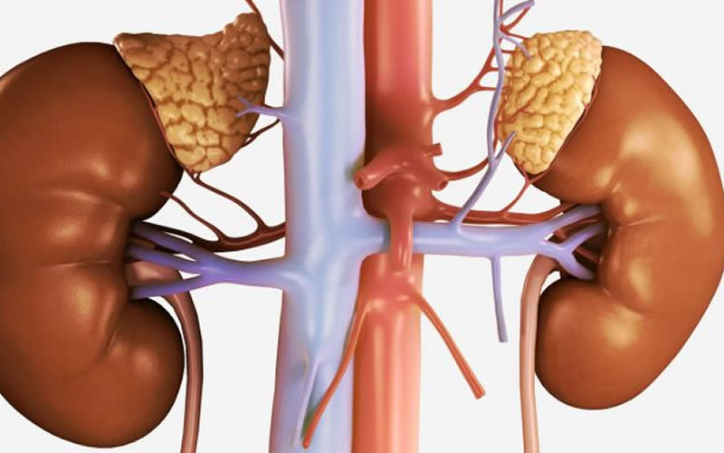 إجهاد الغدة الكظرية