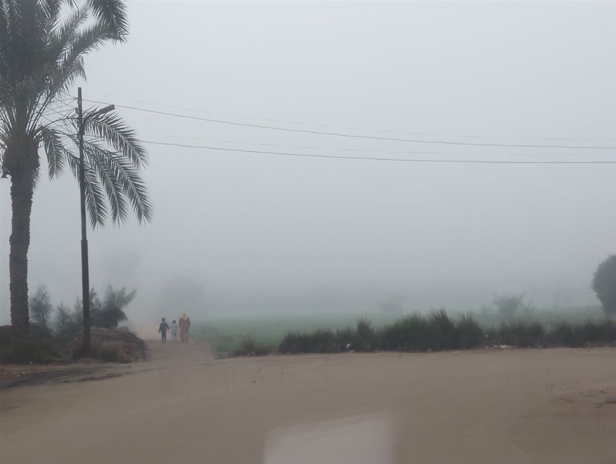 الشبورة المائية بطريق الإسماعيلية الزراعي، فيتو