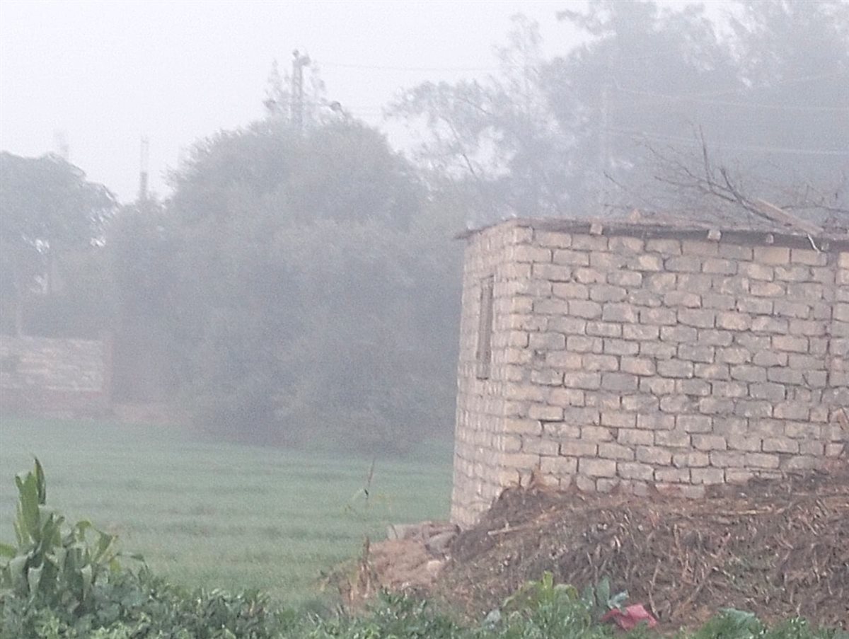 الشبورة المائية بطريق الإسماعيلية الزراعي، فيتو