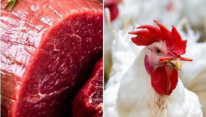 أسعار الدواجن واللحوم