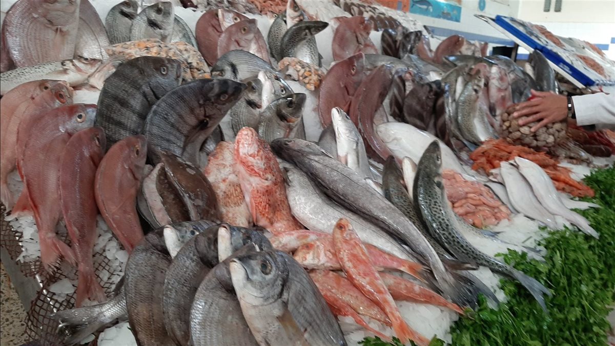 سعر السمك اليوم، فيتو