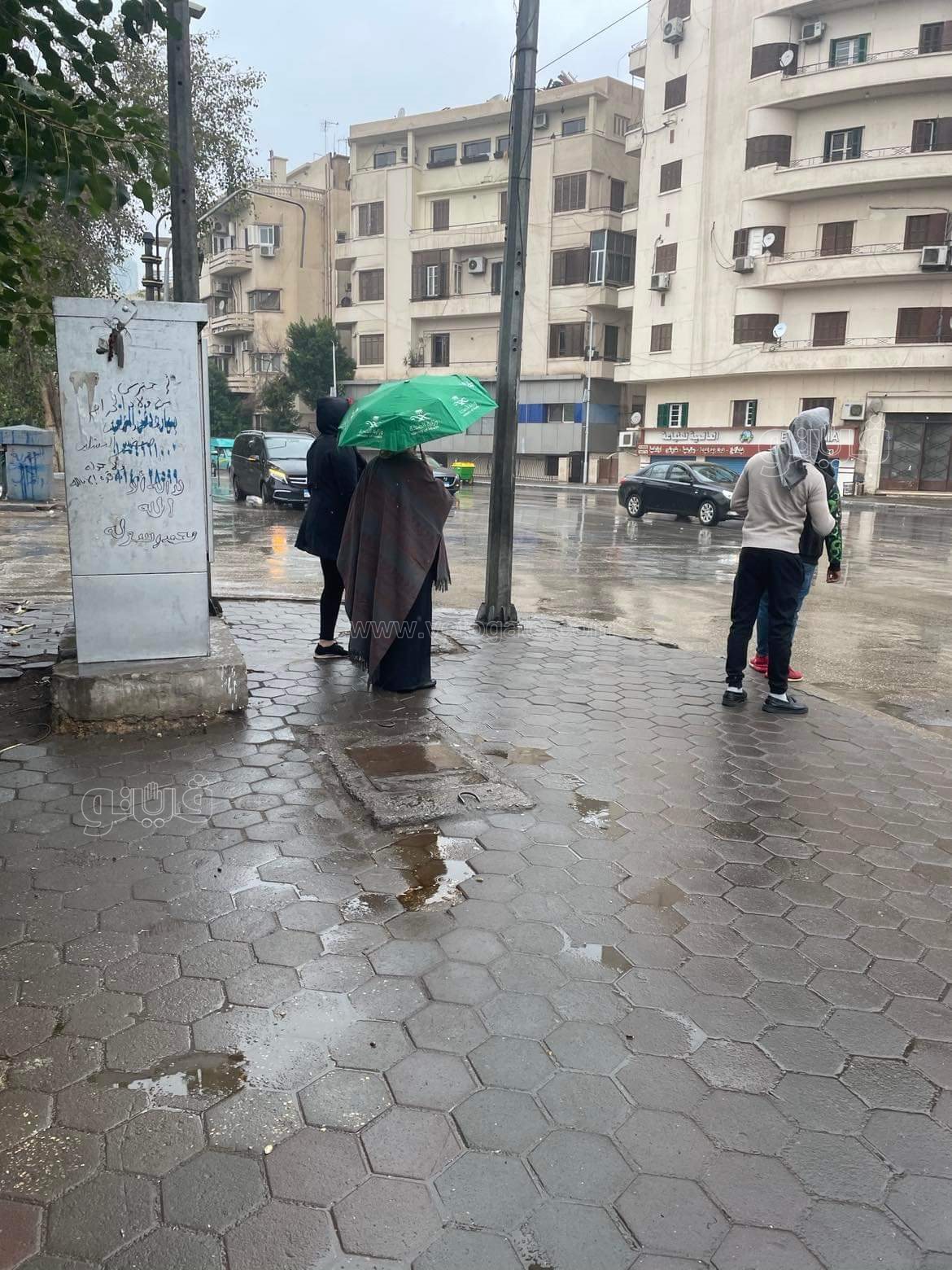 أمطار على القاهرة والجيزة (5)