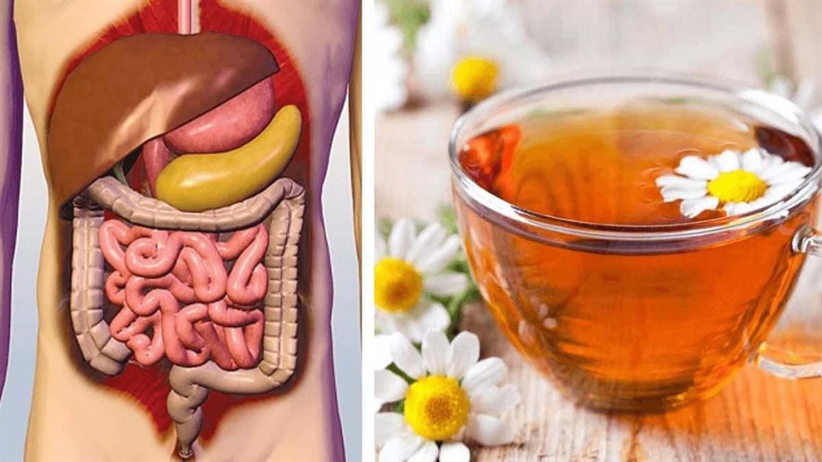 مشروبات لعلاج القولون