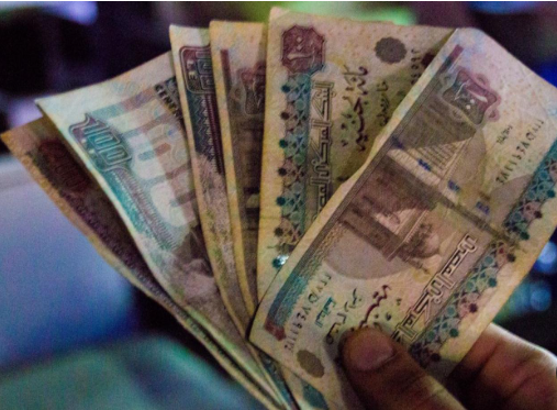 أزمة الديون والإيرادات في مصر، فيتو