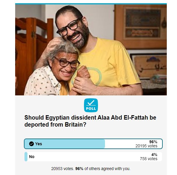 تصويت لترحيل علاء عبدالفتاح، فيتو