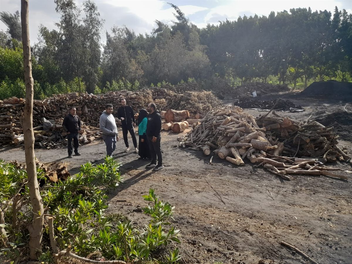 جانب من الحملة، فيتو