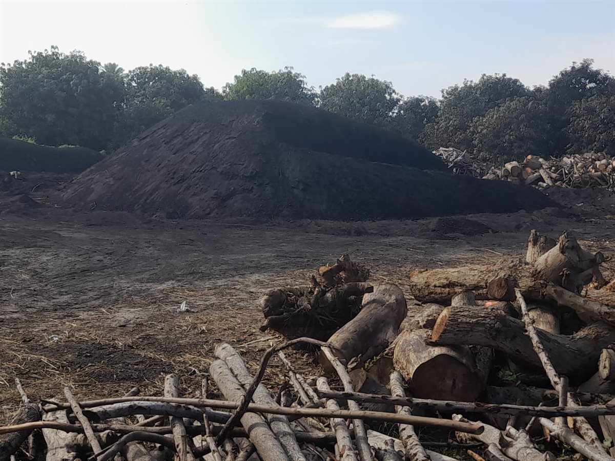 جانب من الحملة، فيتو