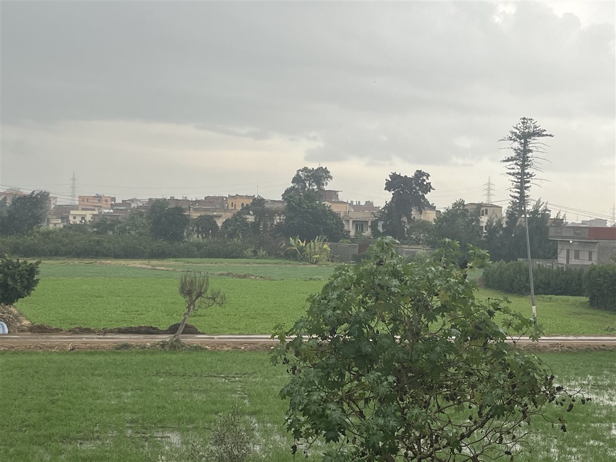 حالة الطقس بمحافظة البحيرة، فيتو