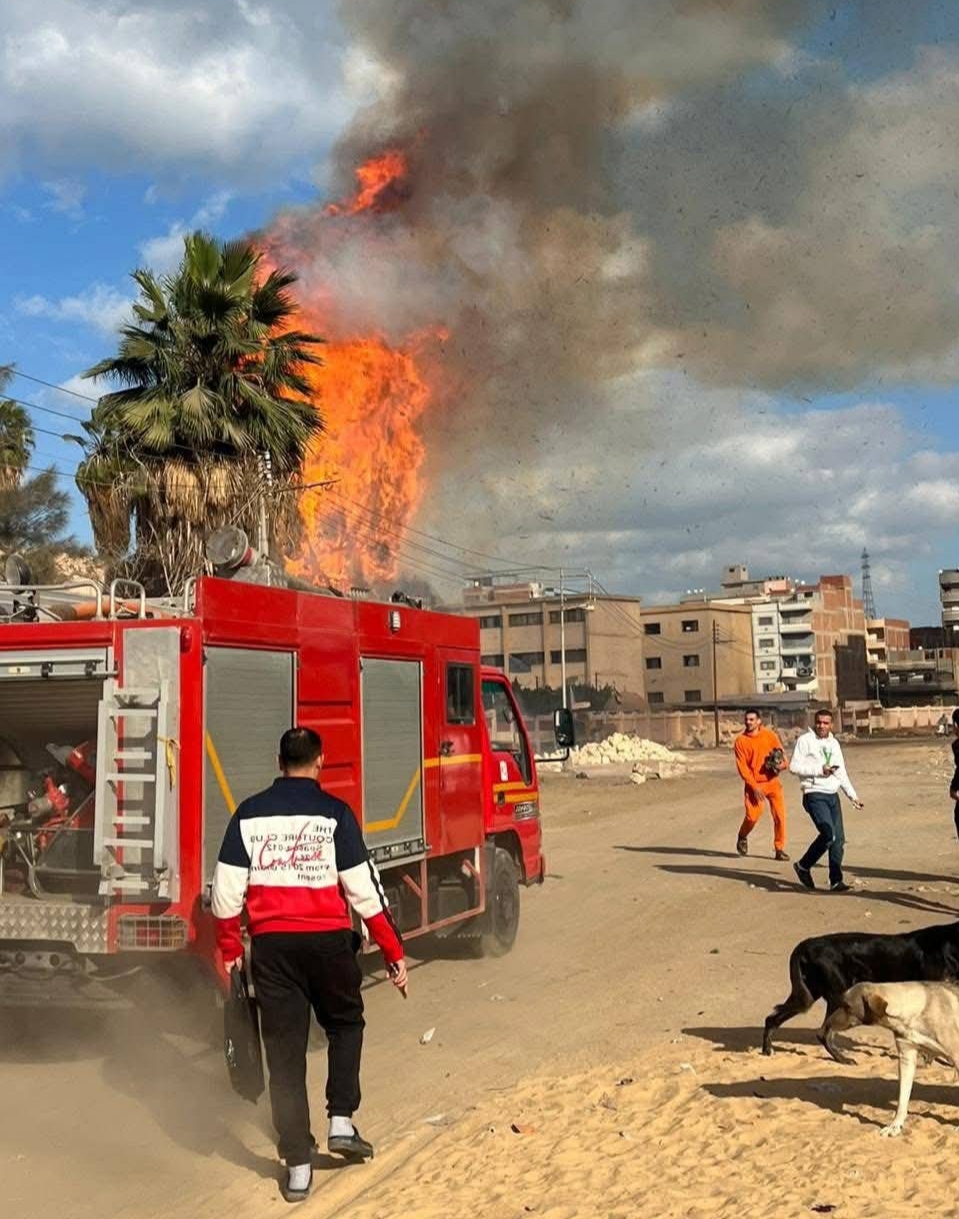 السيطرة على حريق هائل بشجرة مجاورة لسور مدرسة سمنود الصناعية