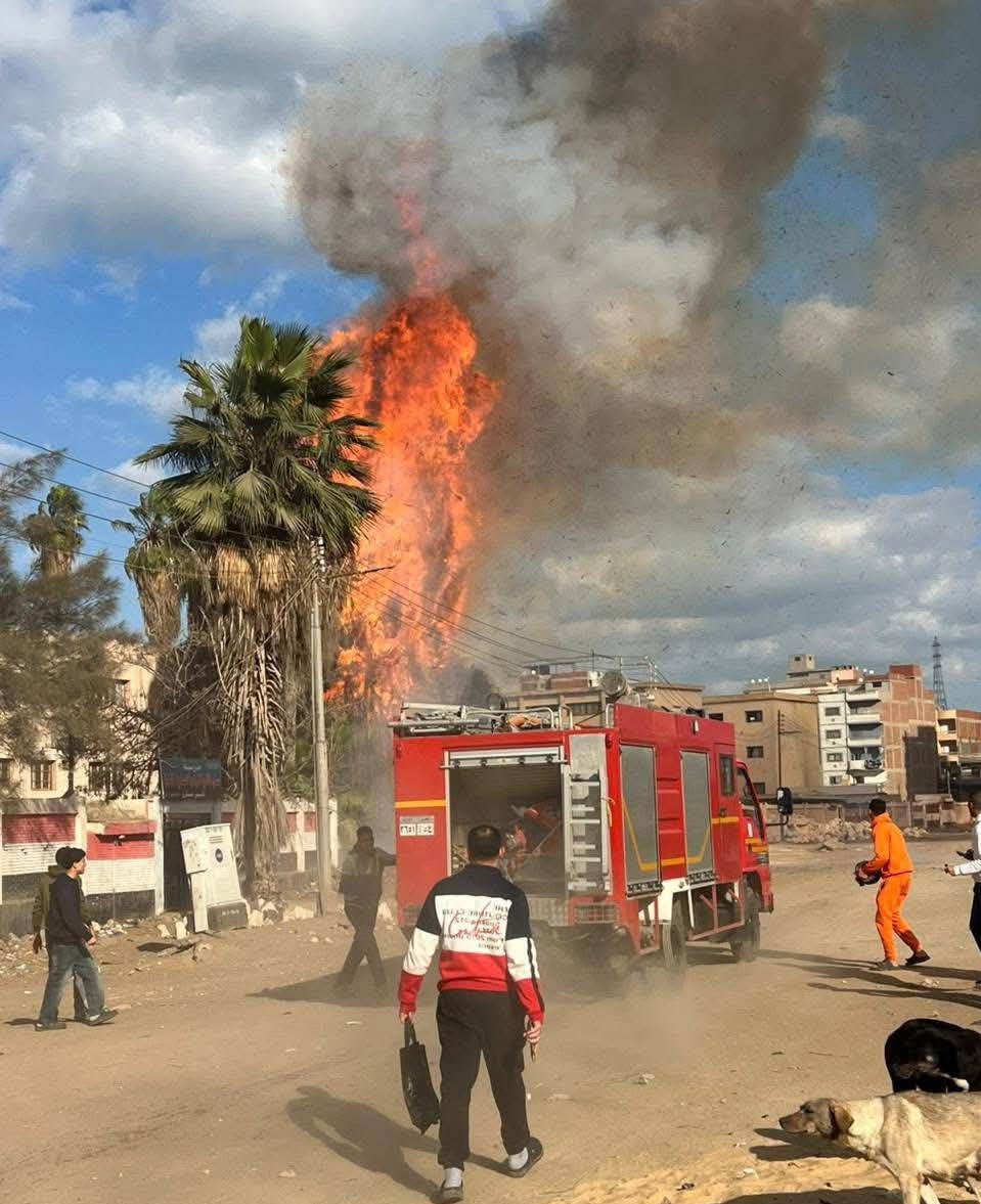 السيطرة على حريق هائل بشجرة مجاورة لسور مدرسة سمنود الصناعية