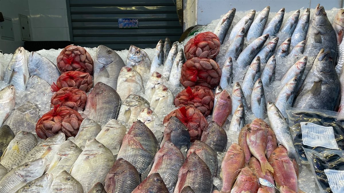 سعر السمك اليوم، فيتو