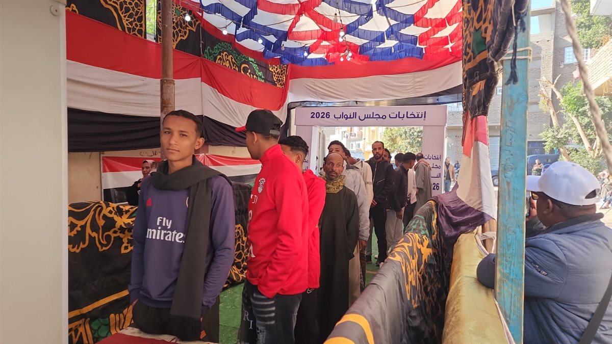 إنتخابات مجلس النواب 2025 في المنيا، فيتو