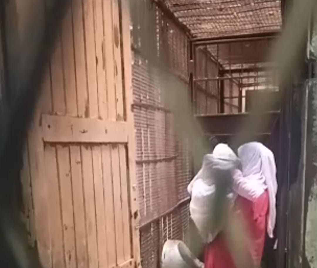 قاتلة زوجها واولادة في دلجا المنيا، فيتو