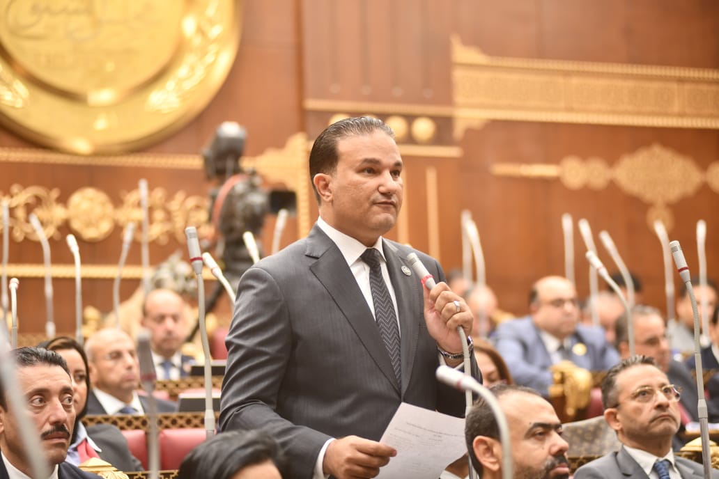 النائب تامر عبد الحميد