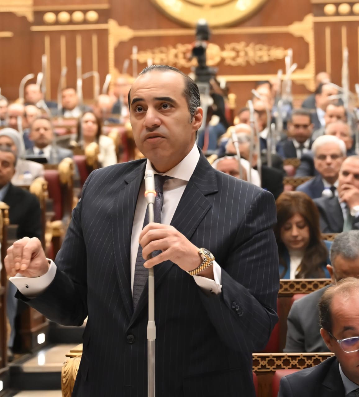 المستشار محمود فوزي