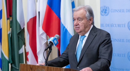 الأمين العام للأمم المتحدة أنطونيو جوتيريش، فيتو