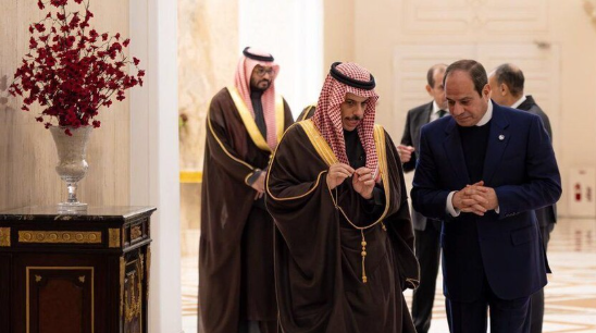 لقاء السيسي وفيصل بن فرحان، فيتو