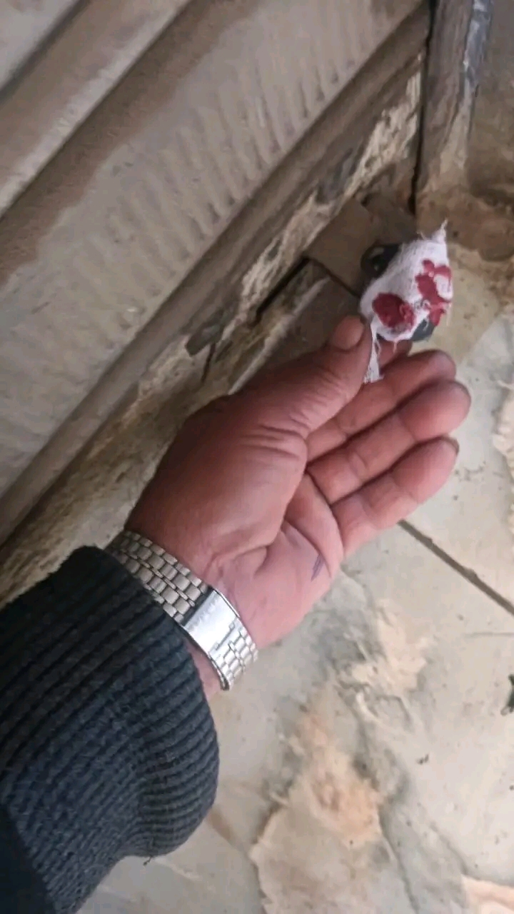 مطعم شهير خارج الخدمة بعد حملات رقابية مكثفة بالشرقية،فيتو