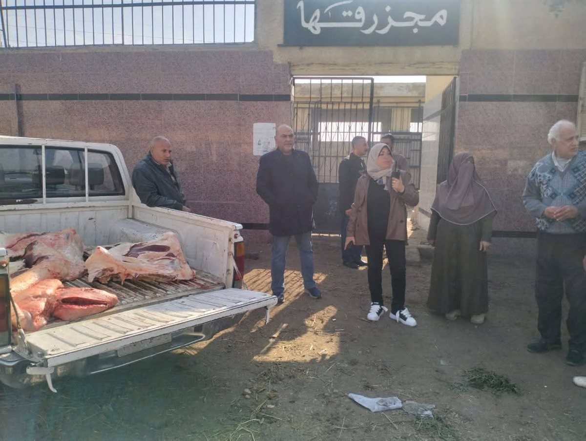 اعدام ذبائح غير صالحة بالقليوبية، فيتو&nbsp;