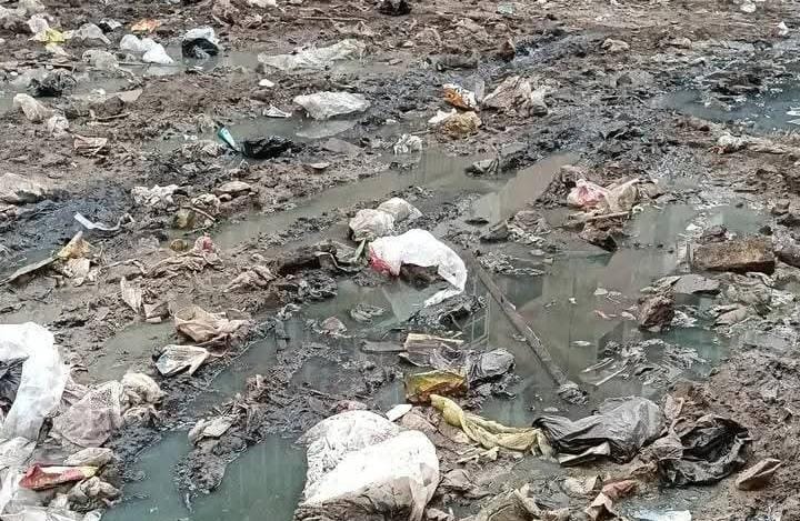 شارع باريس بقليوب،فيتو