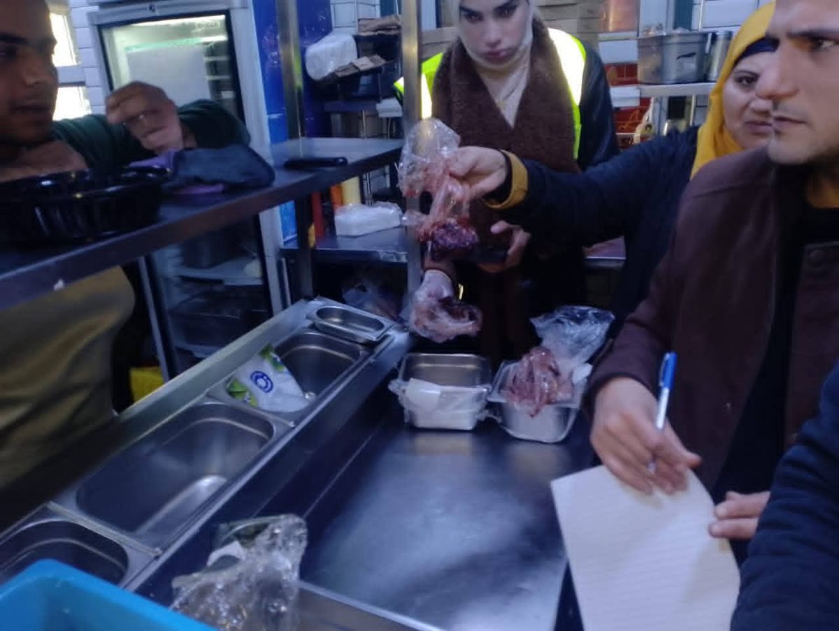 ضبط مطعمين بنها بهما دواجن غير صالحة،فيتو