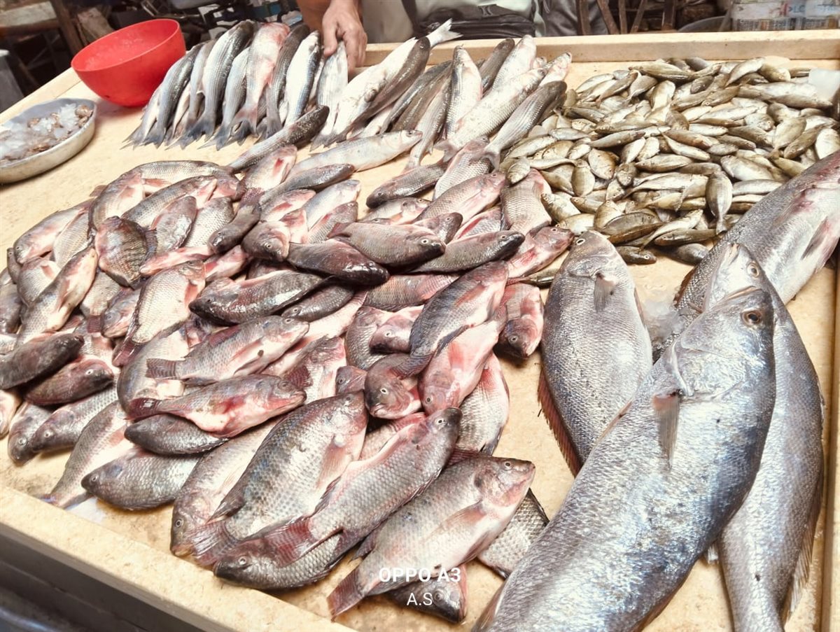 سوق الأسماك الحضري النموذجي بالإسماعيلية، فيتو