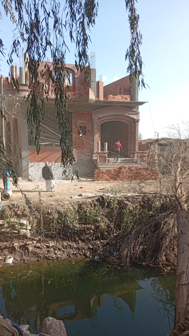 الرياح الشديدة تتسبب في سقوط شجرة على أسلاك الكهرباء في الغربية