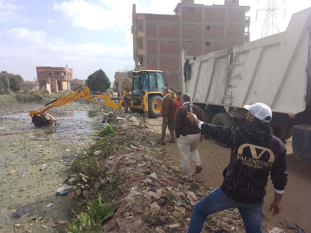 رفع حيوانات نافقة بترعة بالقليوبية، فيتو&nbsp;