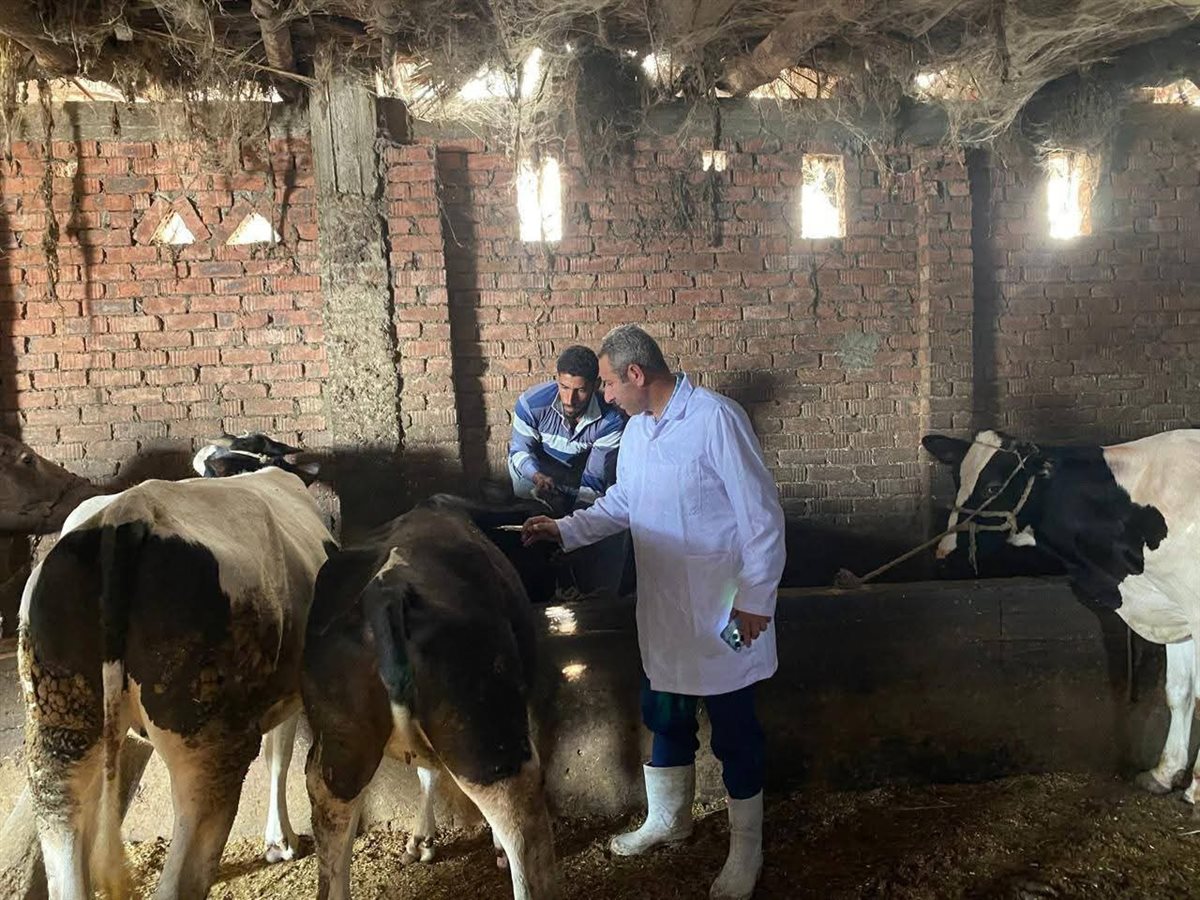 الحملة القومية للتحصين ضد الحمى القلاعية وحمى الوادي المتصدع بدمياط&nbsp;