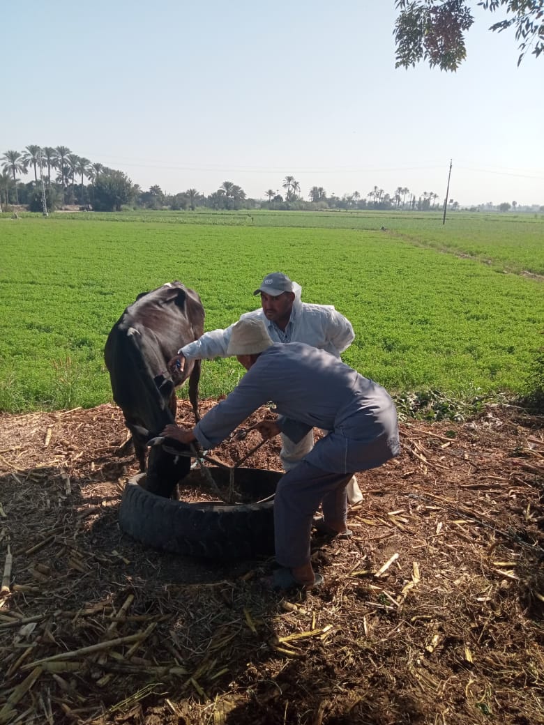 جانب من فاعليات الحملة،فيتو