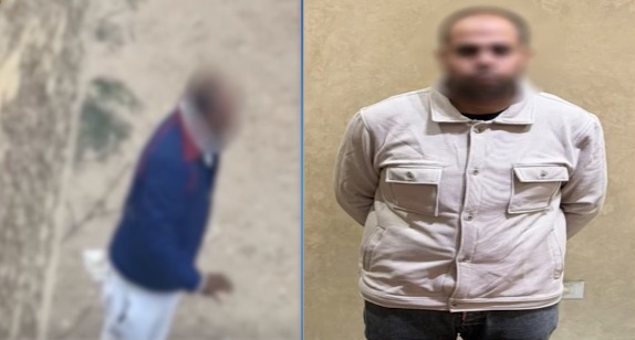 التعدي على الجيران، إطعام الكلاب الضالة،&nbsp;