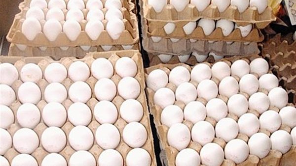 سعر كرتونة البيض اليوم الإثنين في بورصة الدواجن، فيتو