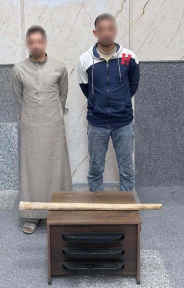 الأمن يكشف ملابسات فيديو التعدي على سيدة بالبحيرة وضبط المتهمين