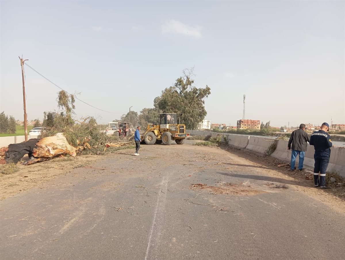 سقوط شجرة بطريق الإسماعيلية الزراعي،فيتو