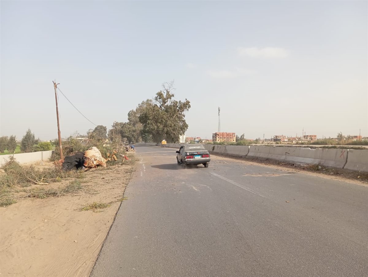 فتح الطريق عقب إزالة الشجرة،فيتو