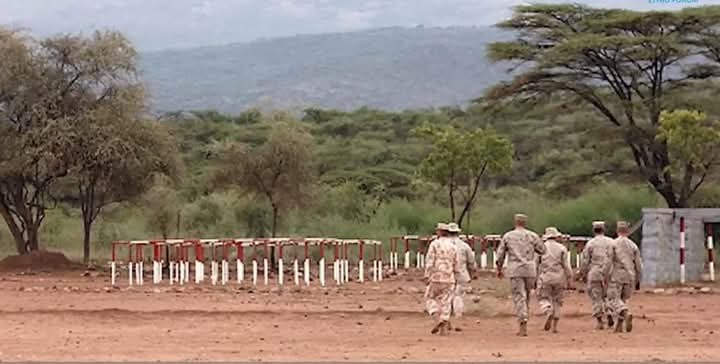 قاعدة الدعم السريع في إثيوبيا، فيتو