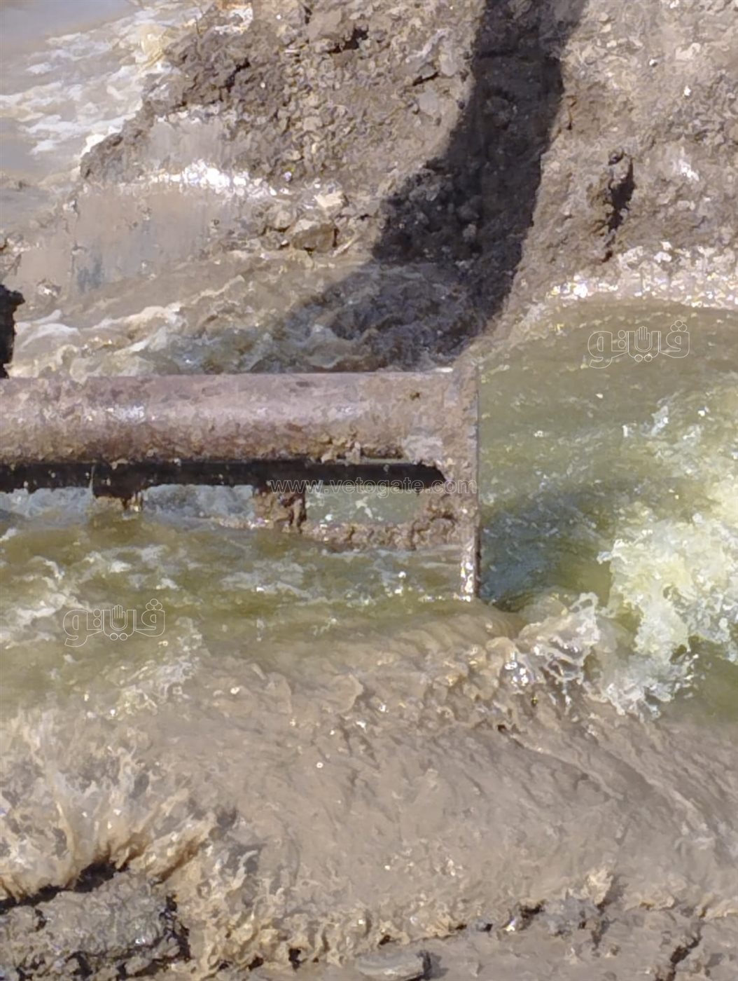 إزالة المزارع المخالفة ببورسعيد &nbsp;، ڤيتو